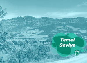 Tunceli Temel Seviye Epoksi Sanatı Atölyesi